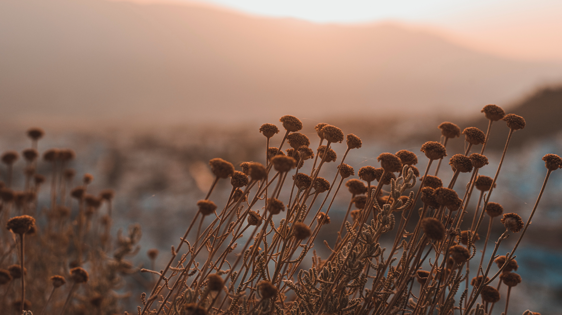 What I’m Not Doing in 2026