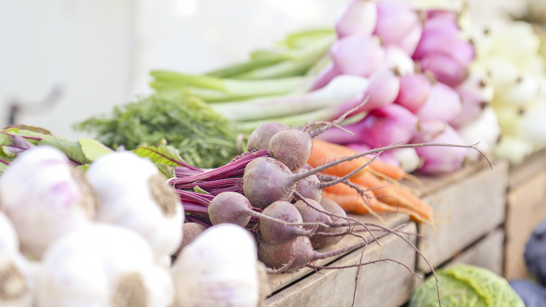 Sunshine and Sustainability: How to Shop Intentionally This Season