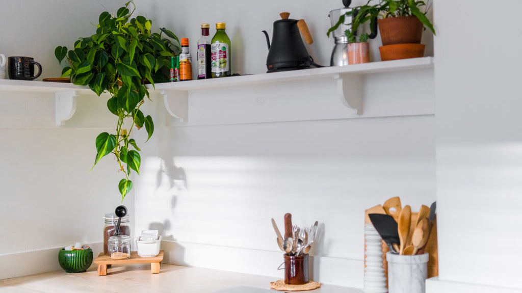 Clearing the Clutter: Why It's Important and How to Get Started