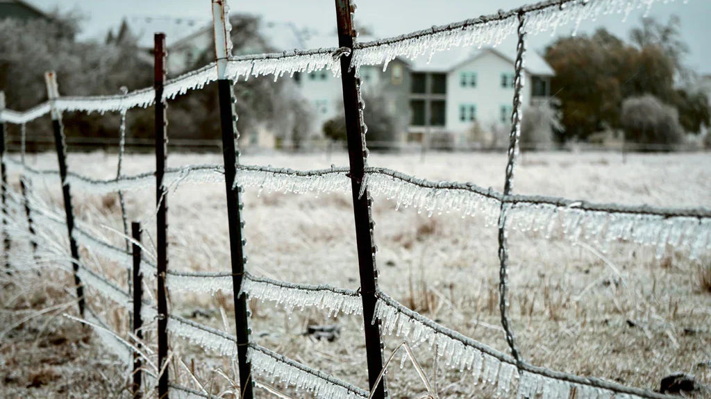 Climate Change in Texas: How Can We Help?