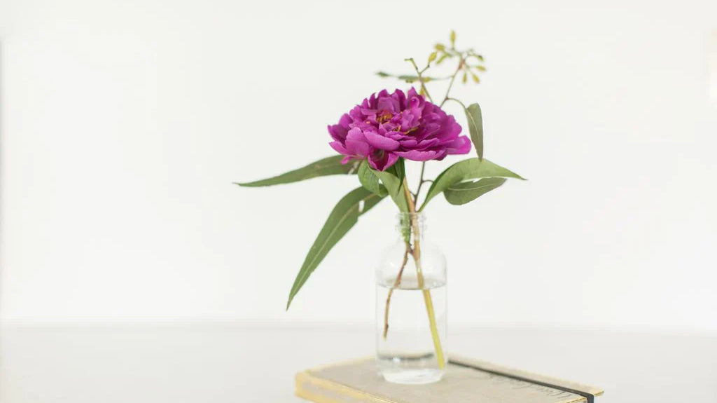 Repurposing Your Urban Oreganics Empties