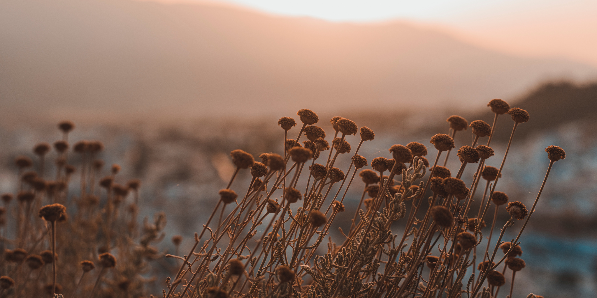 What I’m Not Doing in 2026